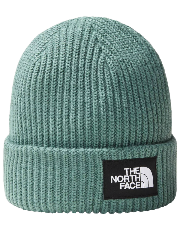 THE NORTH FACE SALTY LINED BEANIE DARK SAGE