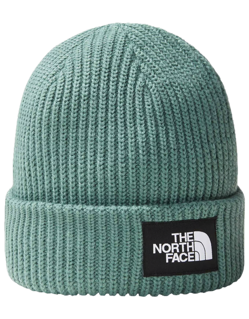 THE NORTH FACE SALTY LINED BEANIE DARK SAGE